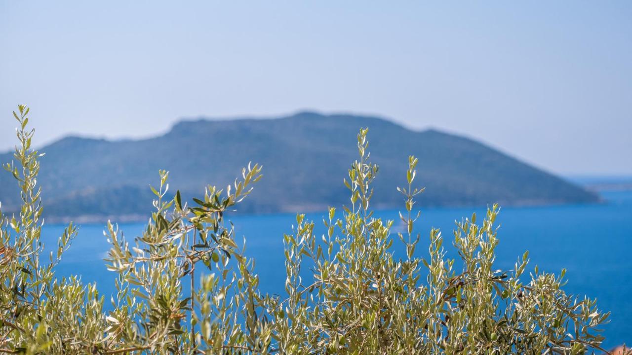 Sea Mist Suites Kaş Dış mekan fotoğraf
