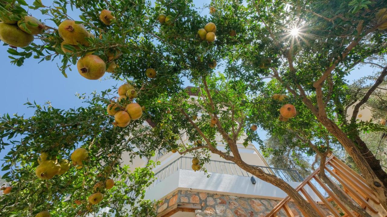 Sea Mist Suites Kaş Dış mekan fotoğraf